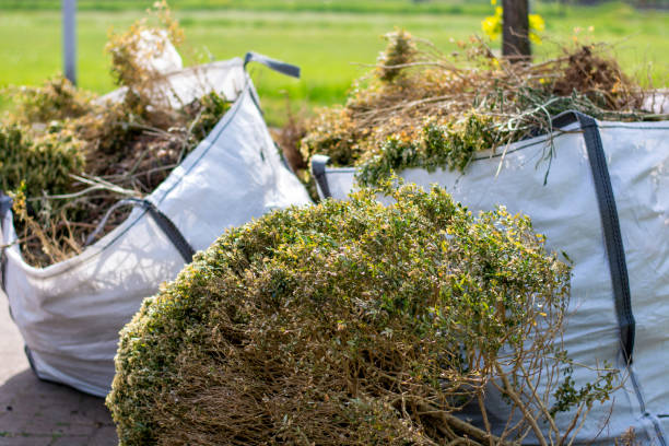 Best Furniture Removal Near Me  in Palisade, CO