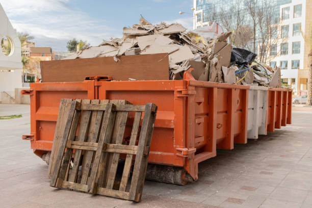 Debris Removal in Palisade, CO