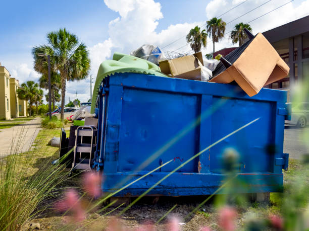 Yard Cleanup Services in Palisade, CO